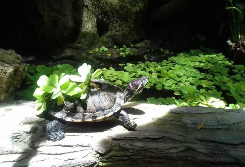 펜션 Shalana Homestay Formerly Teka Teki House