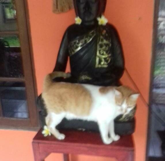 펜션 Shalana Homestay Formerly Teka Teki House