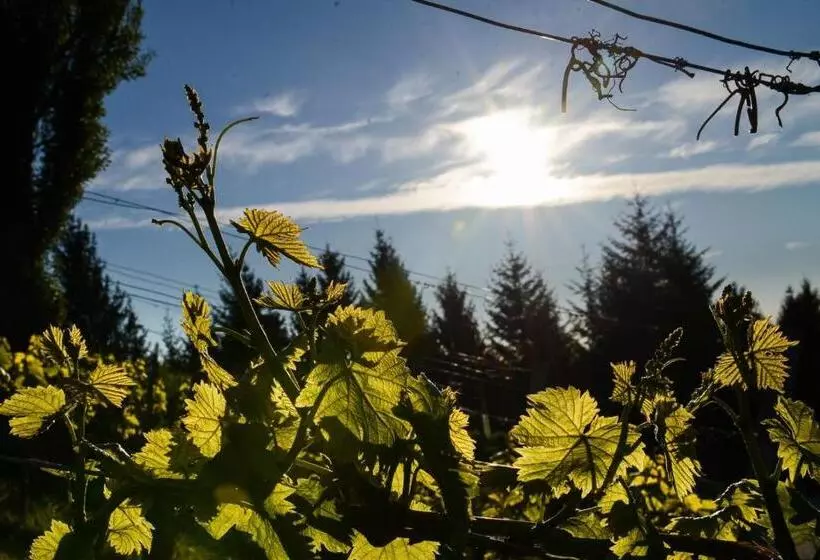 ペンション Weingut & Buschenschank Pölzl