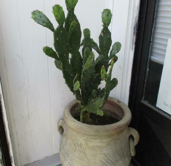 住宿加早餐  Palazzo Ruisi