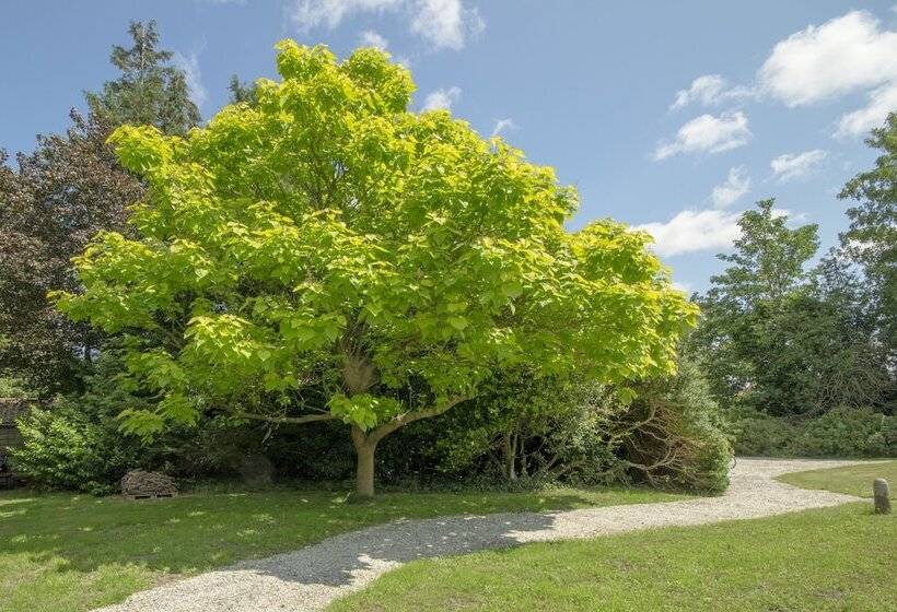 Boutique Hotel  T Vosje