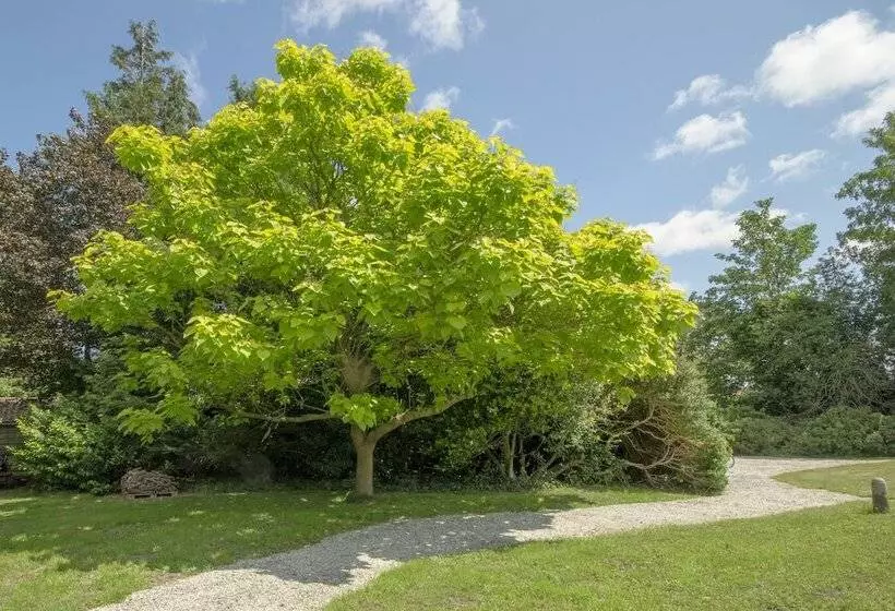 Boutique Hotel  T Vosje