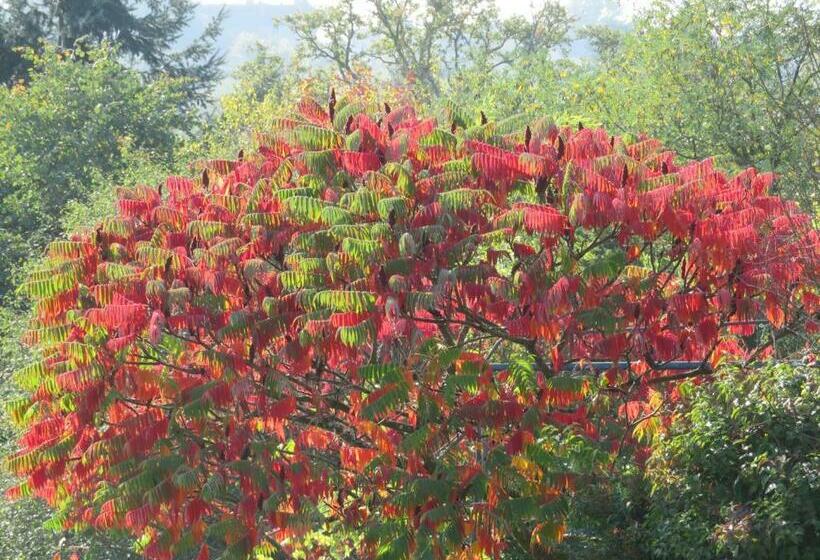 פנסיון Ecrin De Verdure