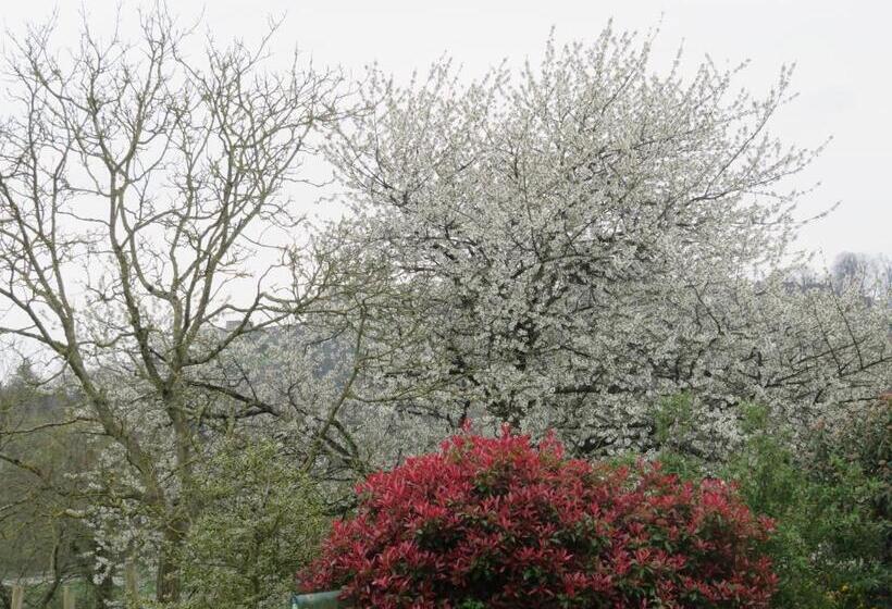 פנסיון Ecrin De Verdure