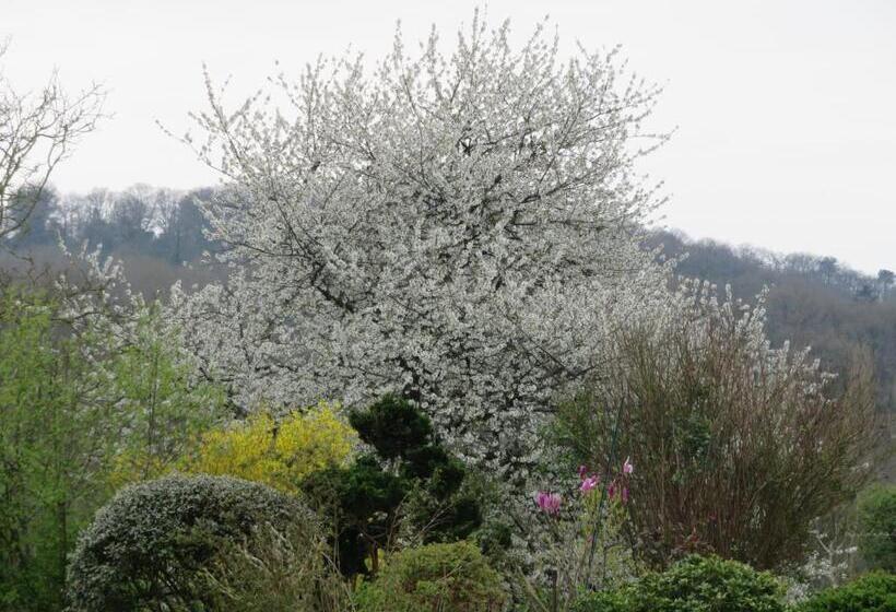 פנסיון Ecrin De Verdure