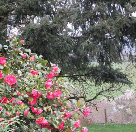 פנסיון Ecrin De Verdure