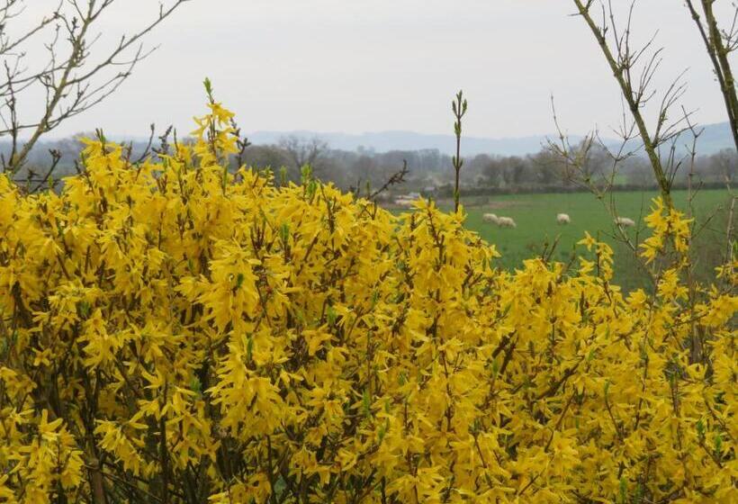 פנסיון Ecrin De Verdure