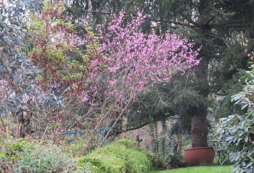 פנסיון Ecrin De Verdure