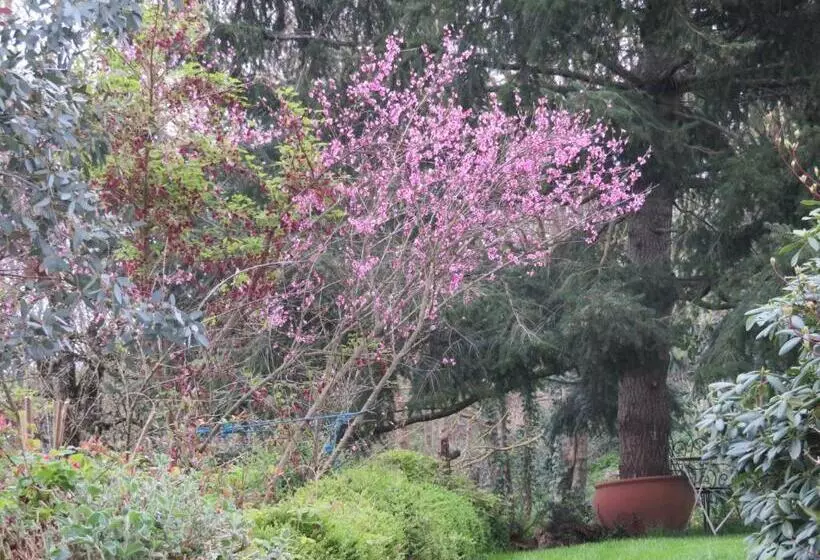 Majatalo Ecrin De Verdure