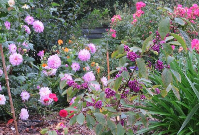 פנסיון Ecrin De Verdure