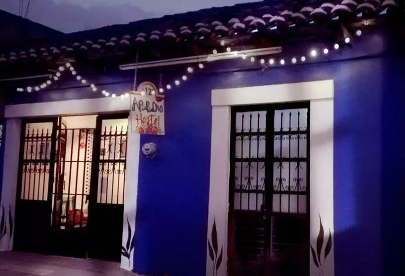 ペンション Casa Apapacho Hostel