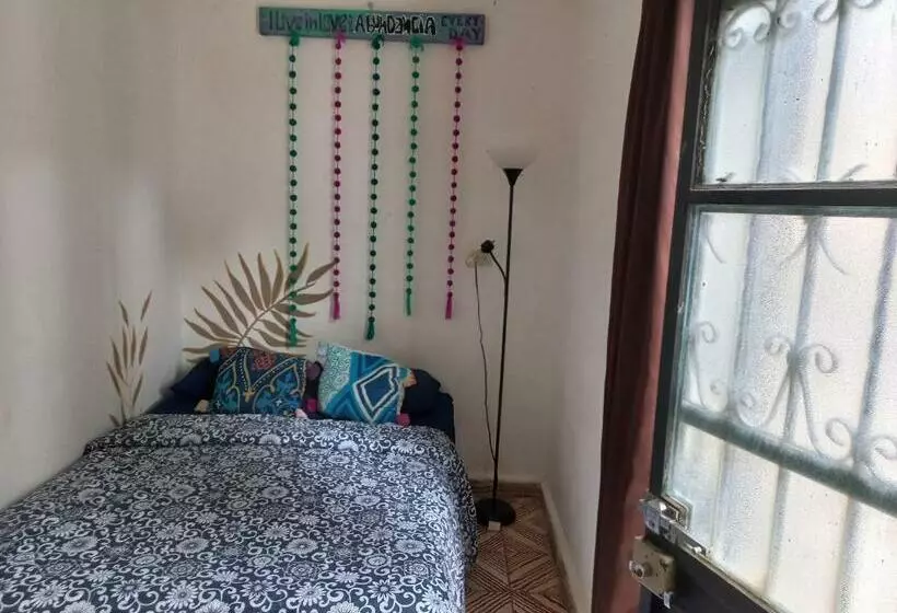 ペンション Casa Apapacho Hostel