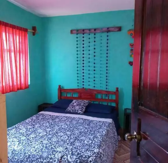 ペンション Casa Apapacho Hostel