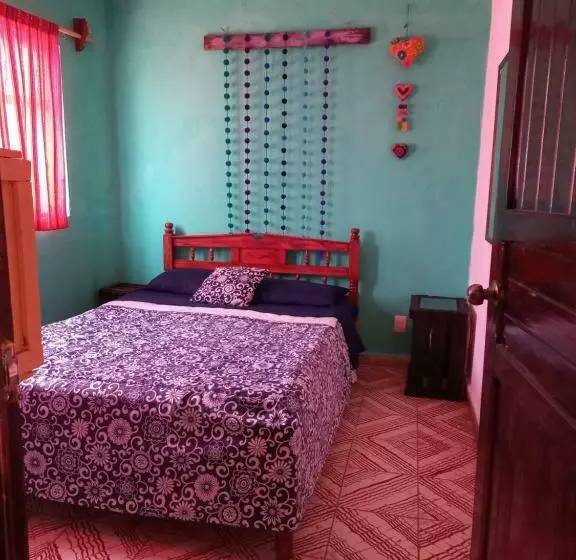 ペンション Casa Apapacho Hostel