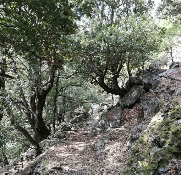 بنسيون Parfumu Di Celu