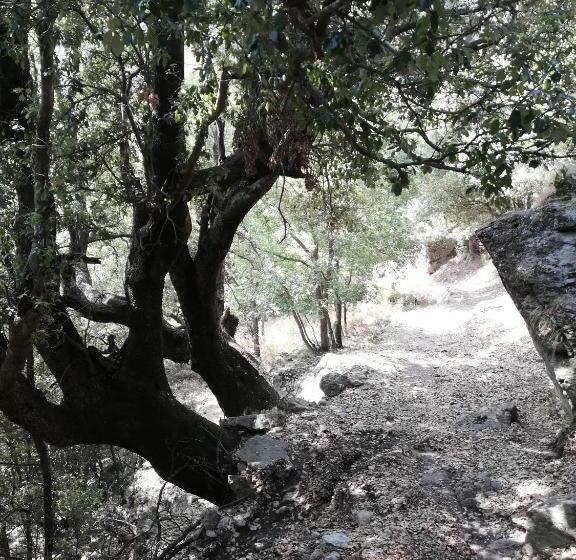 بنسيون Parfumu Di Celu