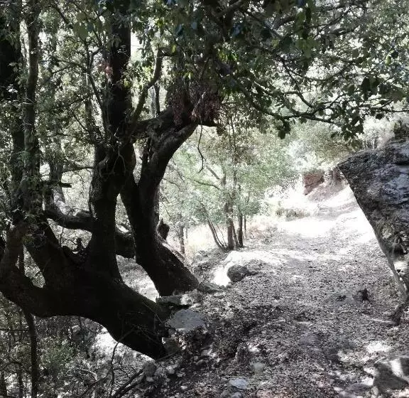 ペンション Parfumu Di Celu