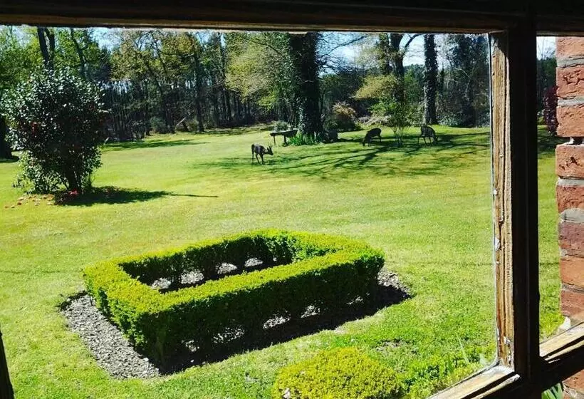 Aamiaismajoitus (B&B) Les Hotes Des Guillemets