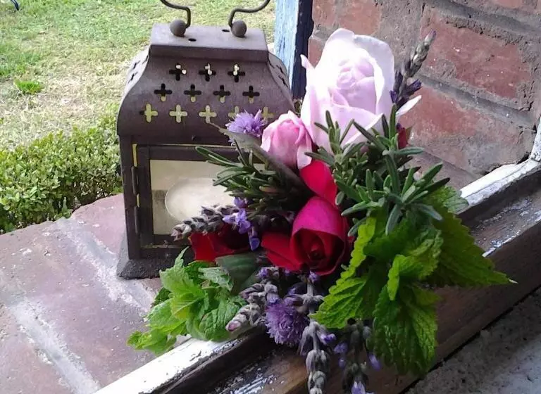 Aamiaismajoitus (B&B) Les Hotes Des Guillemets