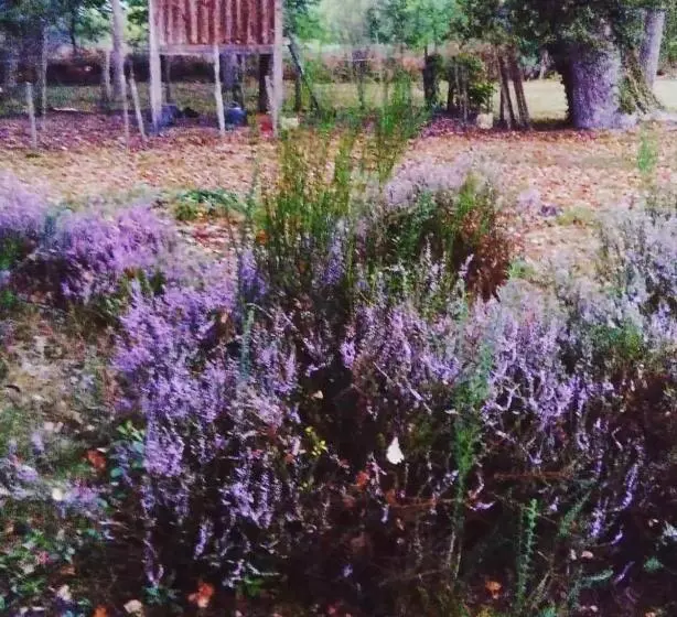 Aamiaismajoitus (B&B) Les Hotes Des Guillemets