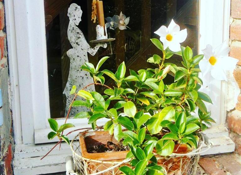 민박 Les Hotes Des Guillemets