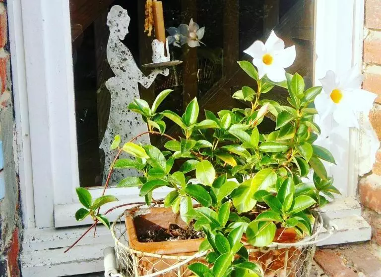 Aamiaismajoitus (B&B) Les Hotes Des Guillemets