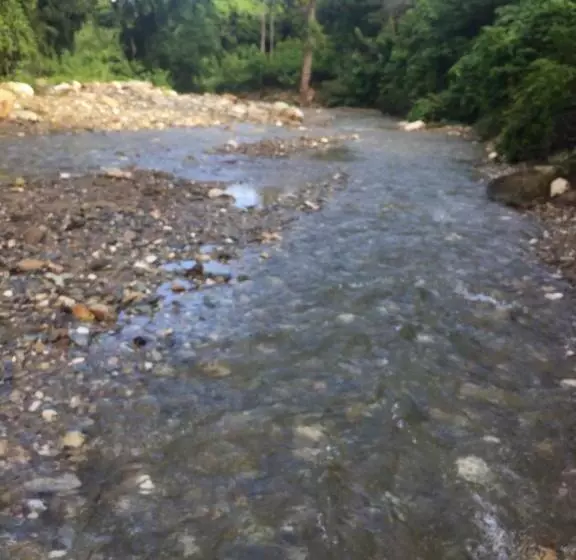 ベッドアンドブレックファースト Riverside At Aninuan Accommodation And Food