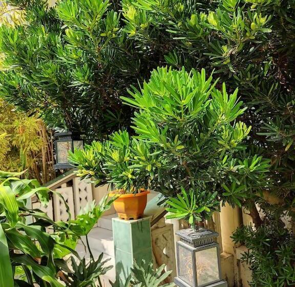 مبيت وإفطار Riverside At Aninuan Accommodation And Food