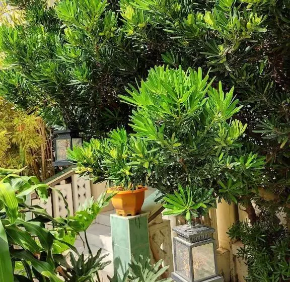 ベッドアンドブレックファースト Riverside At Aninuan Accommodation And Food