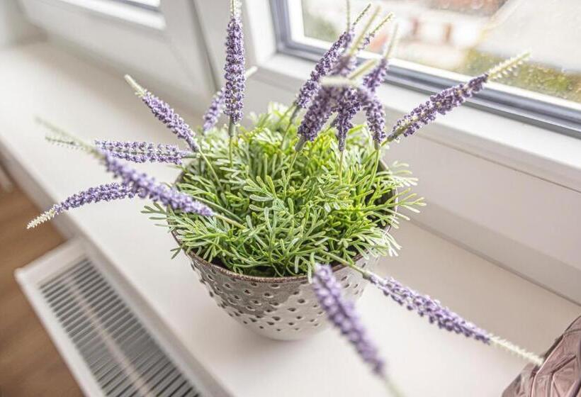 Arbio I Dehnhaide Apartments