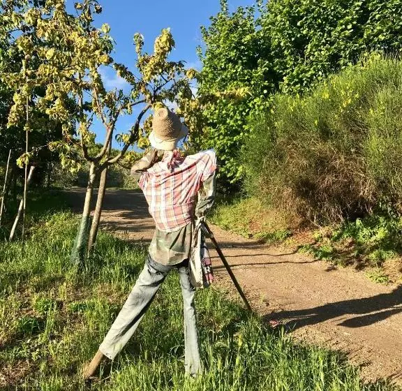 ホテル Podere La Fausta