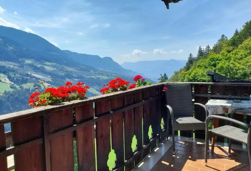 Hotelli Stuberhof