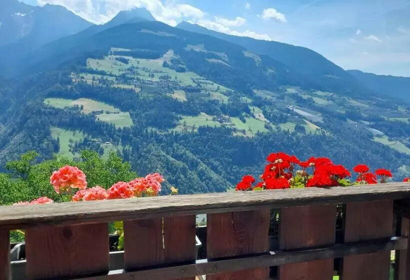 Hotelli Stuberhof