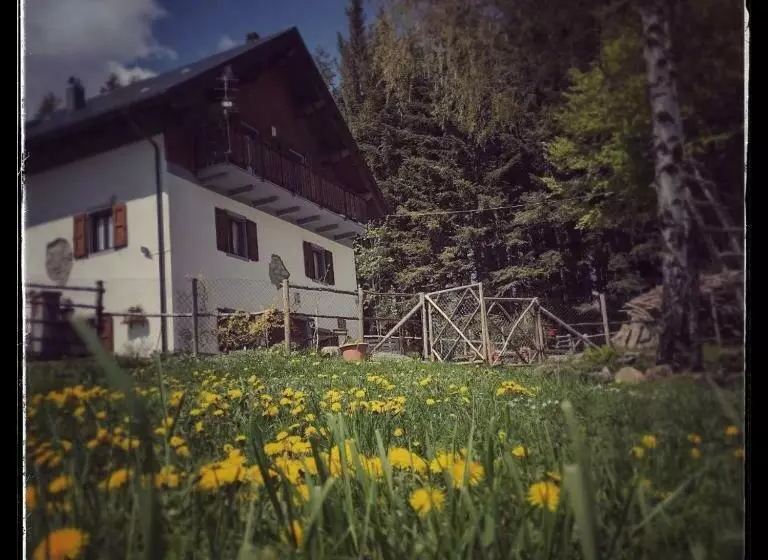 B&b Alle Betulle