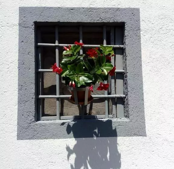 B&b Alle Betulle
