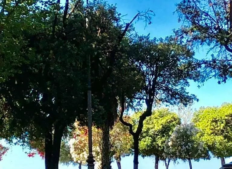 تختخواب و صبحانه Bed And Salerno   Largo Campo   Appartamento