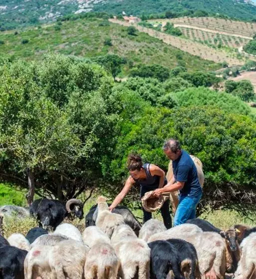 Aamiaismajoitus (B&B) Ferme De Roccapina