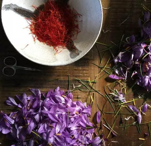 Aamiaismajoitus (B&B) Ferme De Roccapina