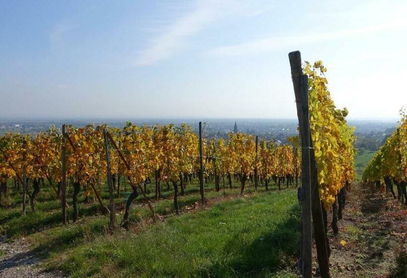 Bed and Breakfast Le Haut De L Espérance