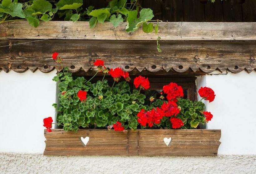 هتل Garni Zatzerhof