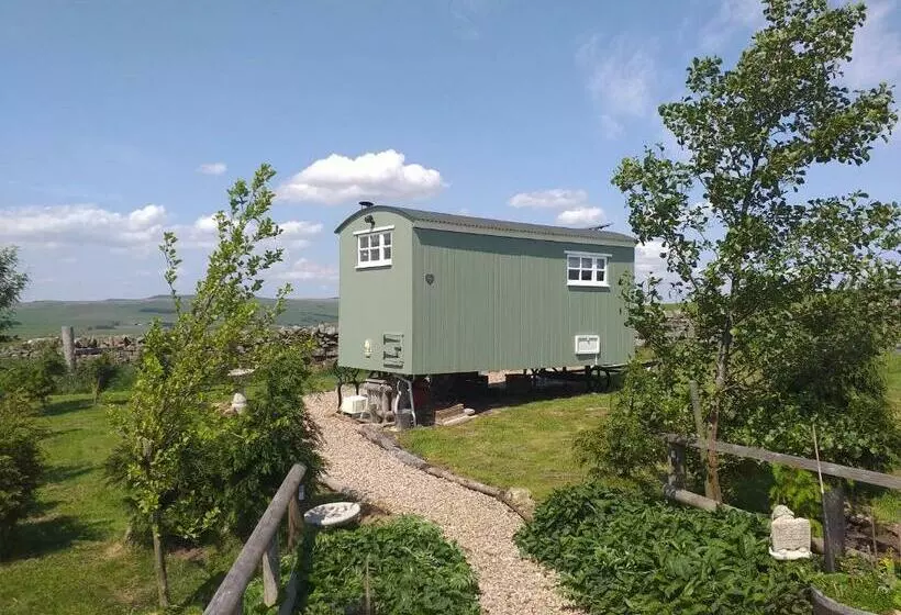 Hotelli The Buteland Stop Rosie Off Grid Shepherds Hut