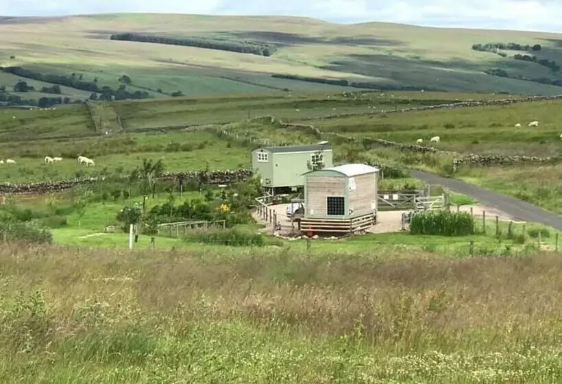 Hotelli The Buteland Stop Rosie Off Grid Shepherds Hut