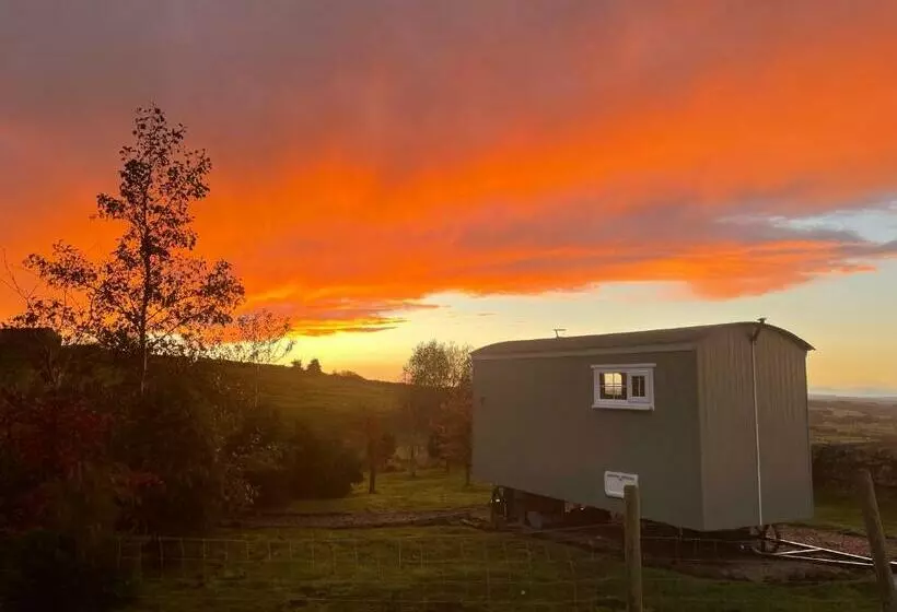 Hotelli The Buteland Stop Rosie Off Grid Shepherds Hut