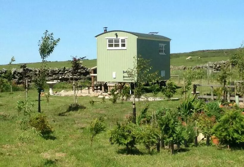 Hotelli The Buteland Stop Rosie Off Grid Shepherds Hut