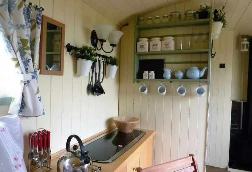 Hotelli The Buteland Stop Rosie Off Grid Shepherds Hut