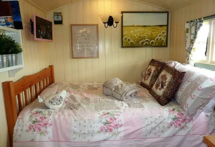 Hotelli The Buteland Stop Rosie Off Grid Shepherds Hut