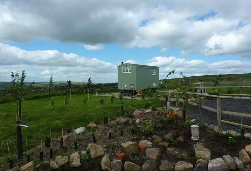 Hotelli The Buteland Stop Rosie Off Grid Shepherds Hut
