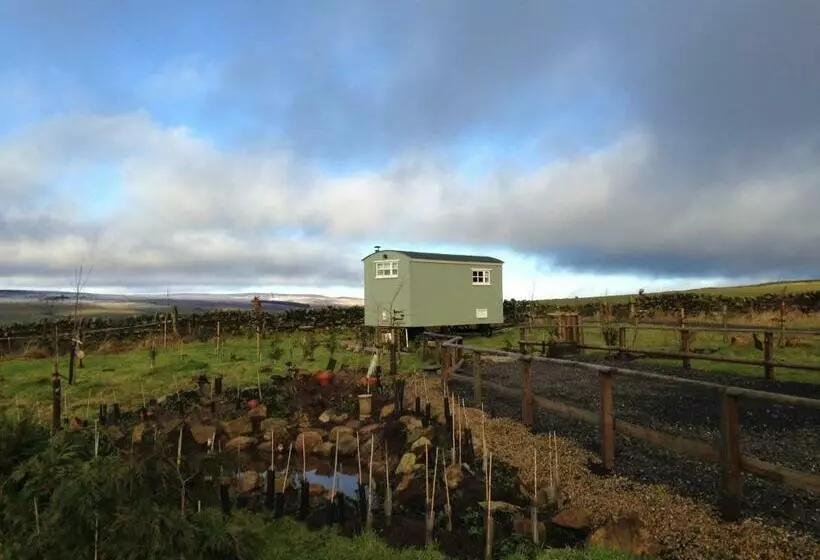 Hotelli The Buteland Stop Rosie Off Grid Shepherds Hut