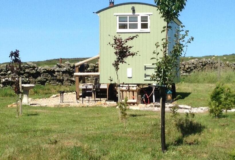 酒店 The Buteland Stop Rosie Off Grid Shepherds Hut
