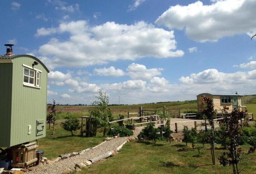 酒店 The Buteland Stop Rosie Off Grid Shepherds Hut